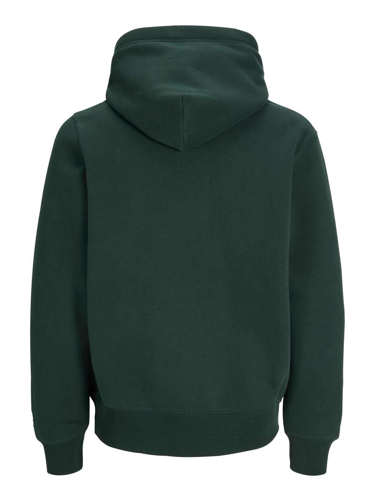 Back view of JACK & JONES Frederiksberg Bold Branding Hoodie in Pine Grove