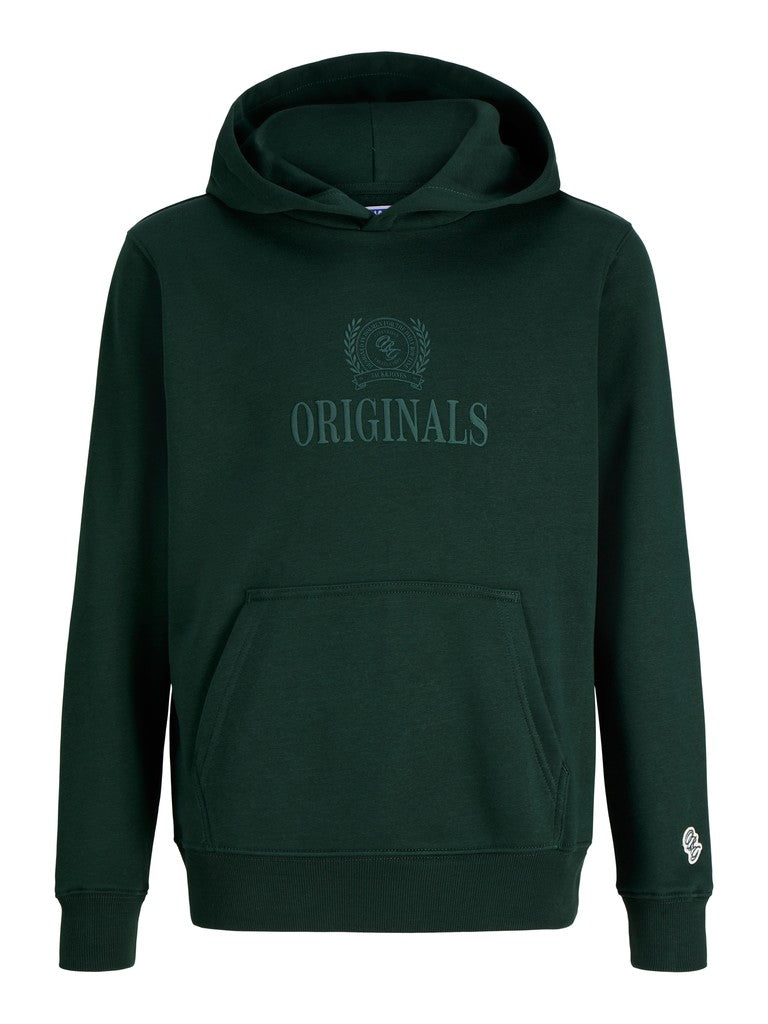 Jack Jones Youths Frederiksberg Monogram Junior Sweat Hoodie in Pine Grove front view