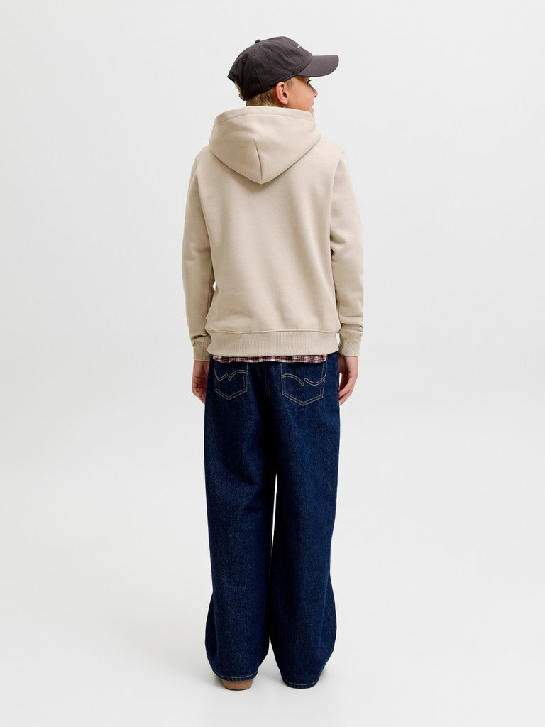 Jack Jones Youths Frederiksberg Monogram Junior Sweat Hoodie in Feather Gray back model view