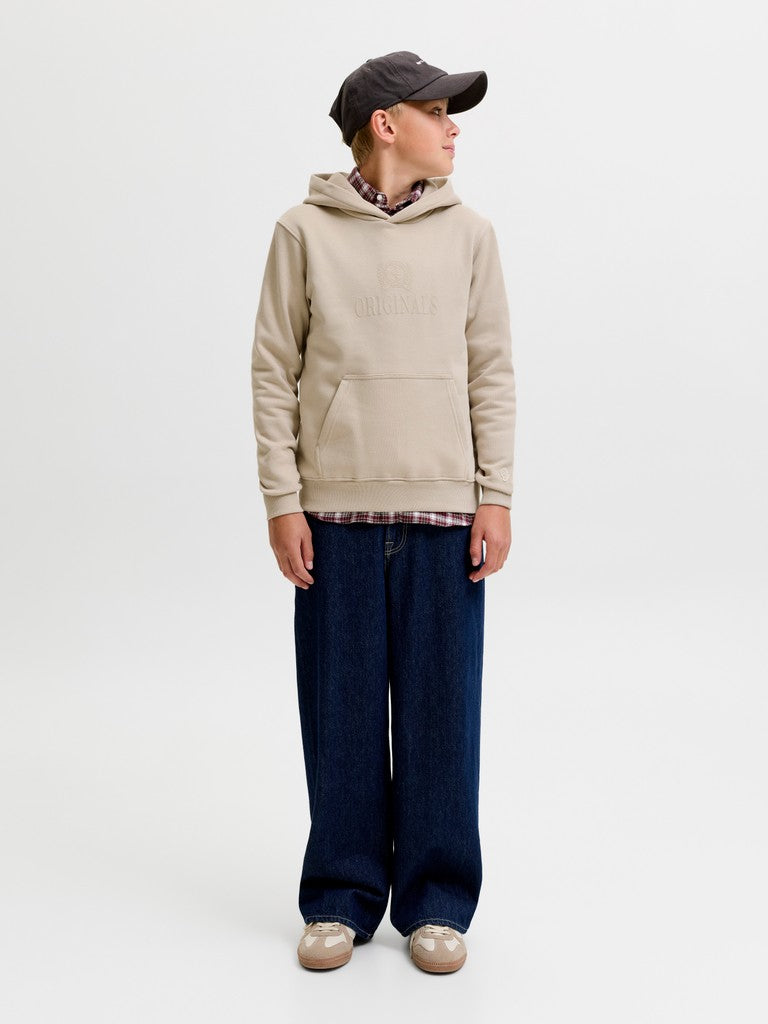 Jack Jones Youths Frederiksberg Monogram Junior Sweat Hoodie in Feather Gray angled model view