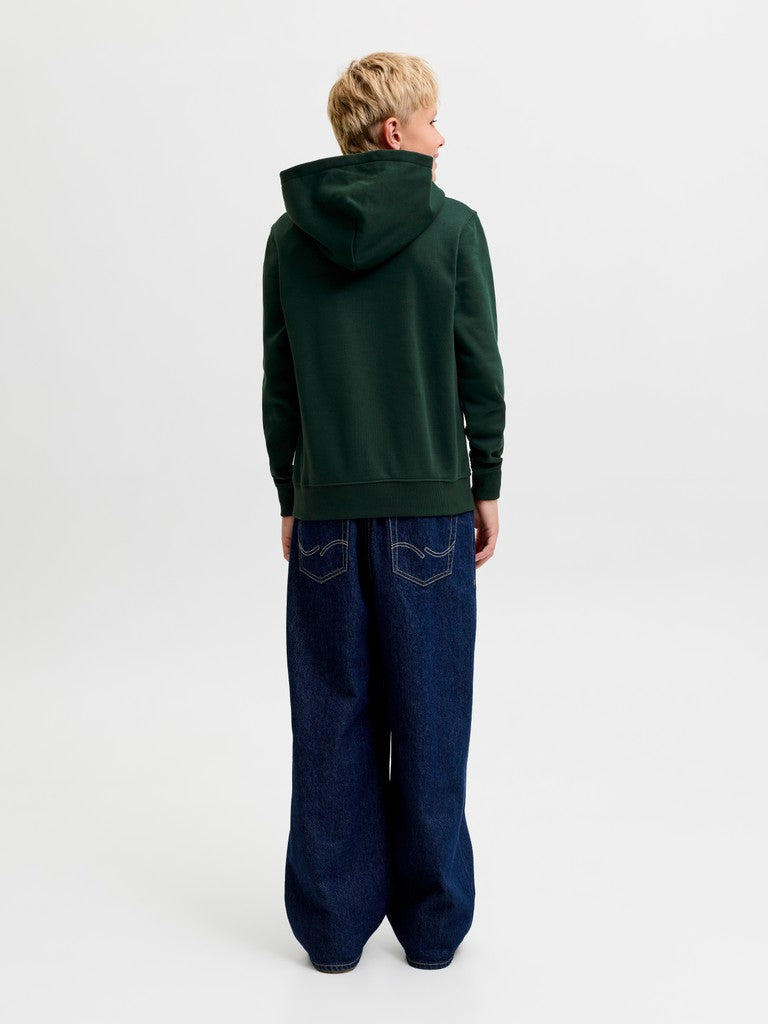 Jack Jones Youths Frederiksberg Monogram Junior Sweat Hoodie in Pine Grove back model view