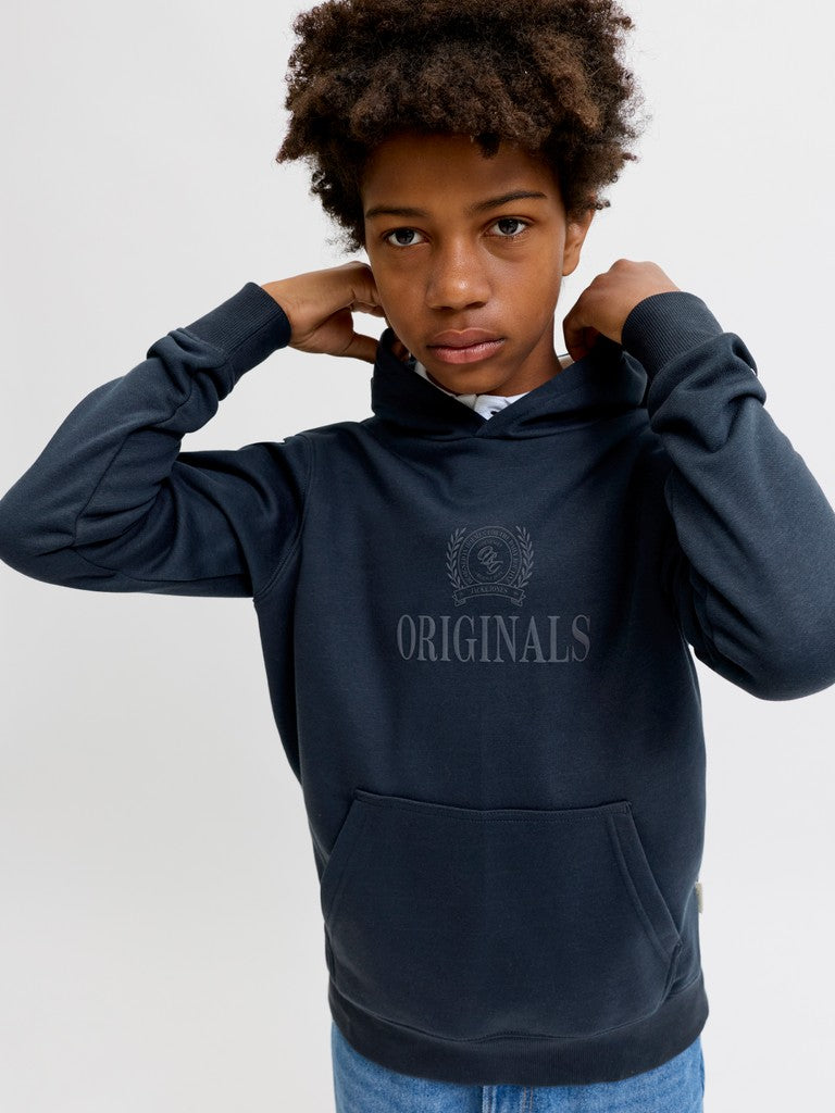 Jack Jones Youths Frederiksberg Monogram Junior Sweat Hoodie in Sky Captain front model view