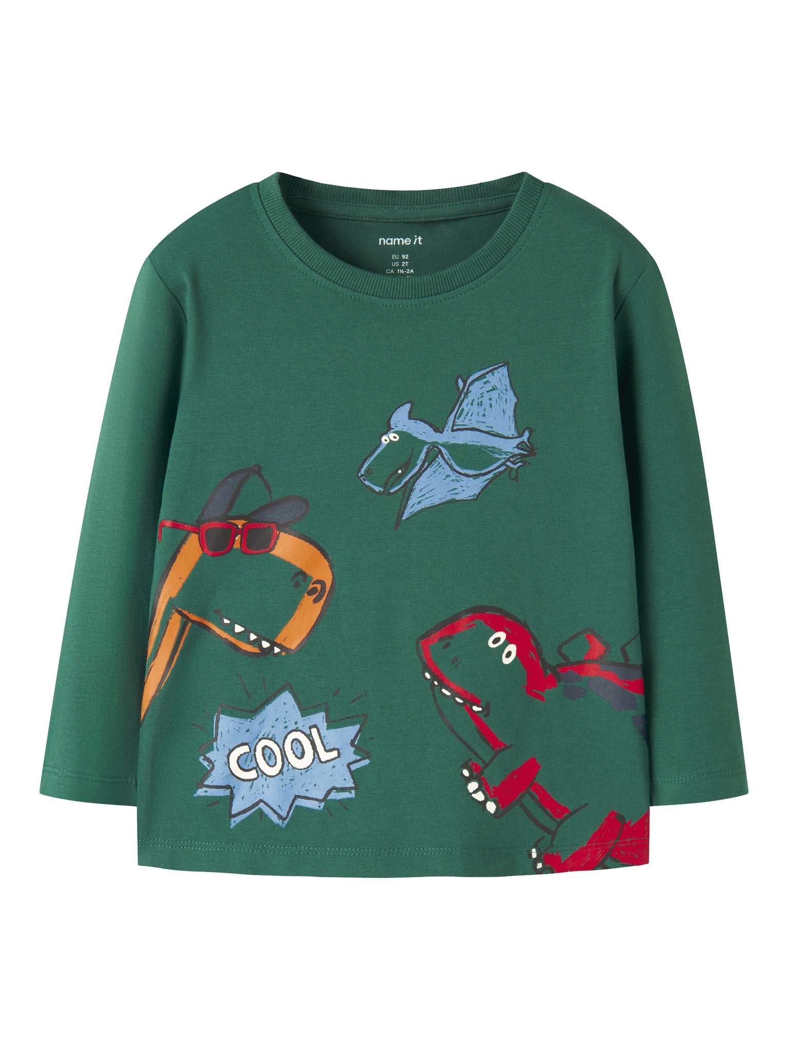 NAME IT Lucius Long Sleeve Top in Evergreen front view