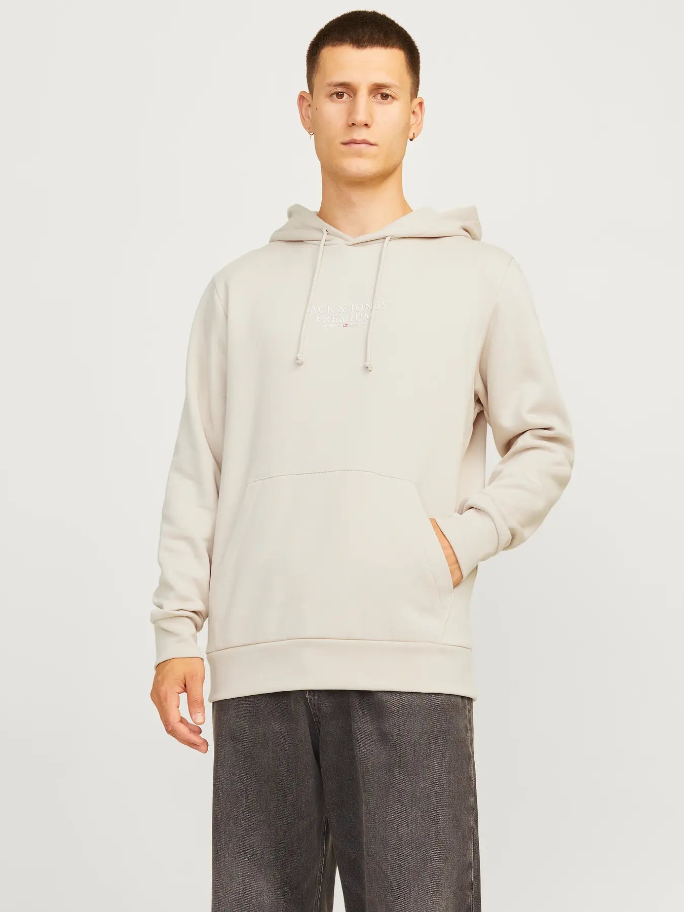 JACK JONES PREMIUM Archie Sweat Hood-Moonbeam Moonbeam front view