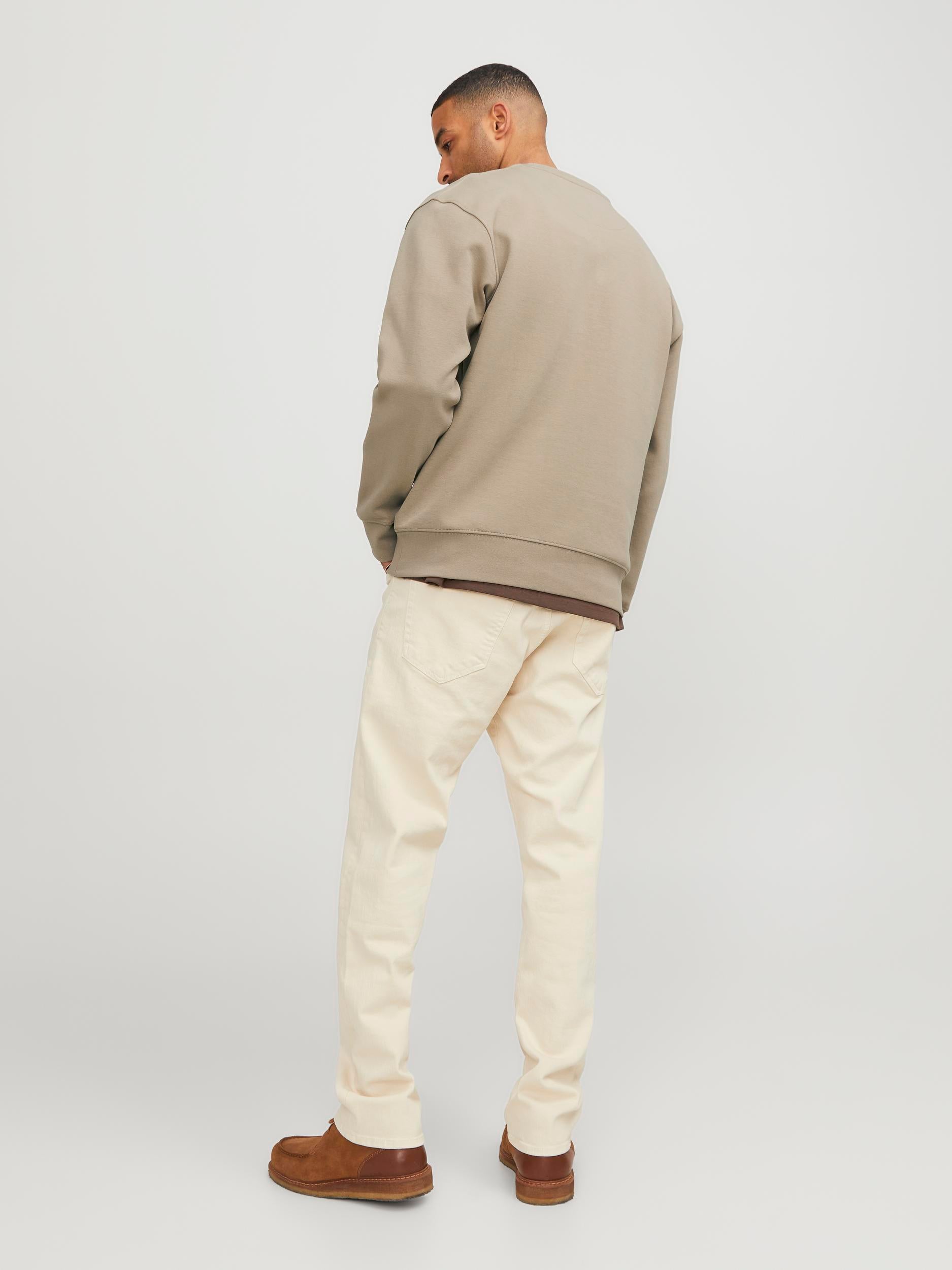 Men's Dean Sweat Crew Neck Long Sleeve - Greige-Model Back View