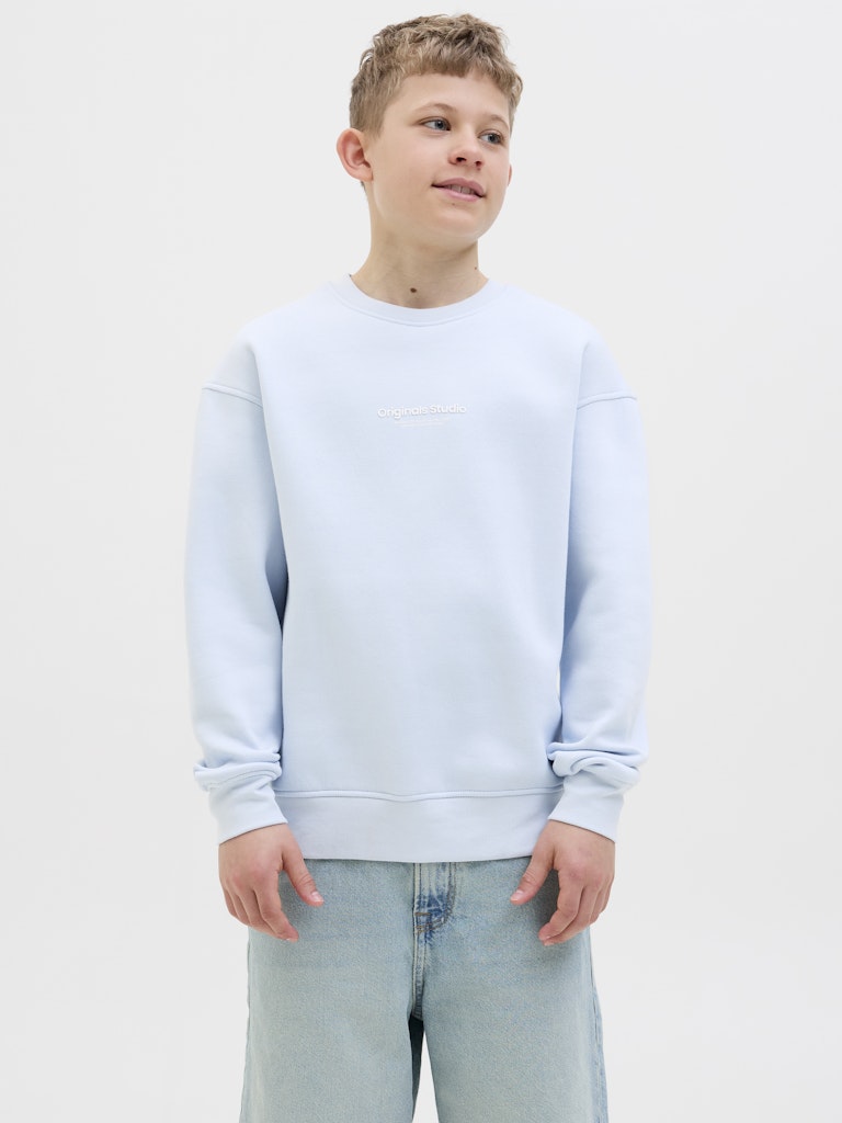 Jack Jones Youths Jorvesterbro Sweat Crew Neck Junior-Skyway Skyway front view