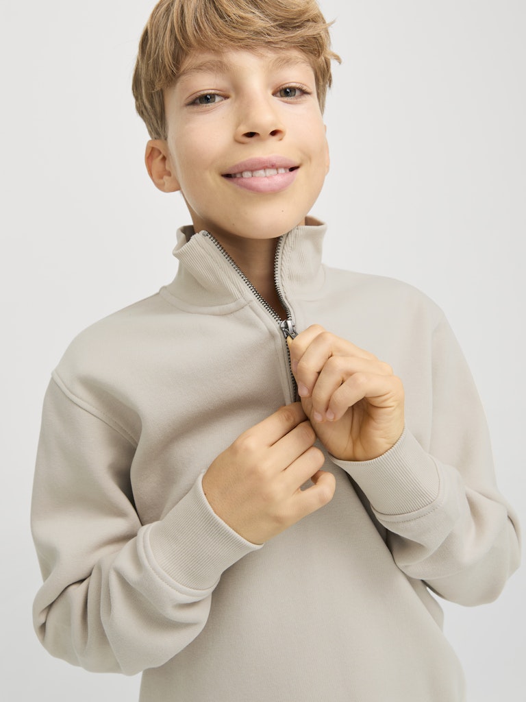 Jack Jones Youths Bradley Sweat Junior Half Zip-Moonbeam Moonbeam back view