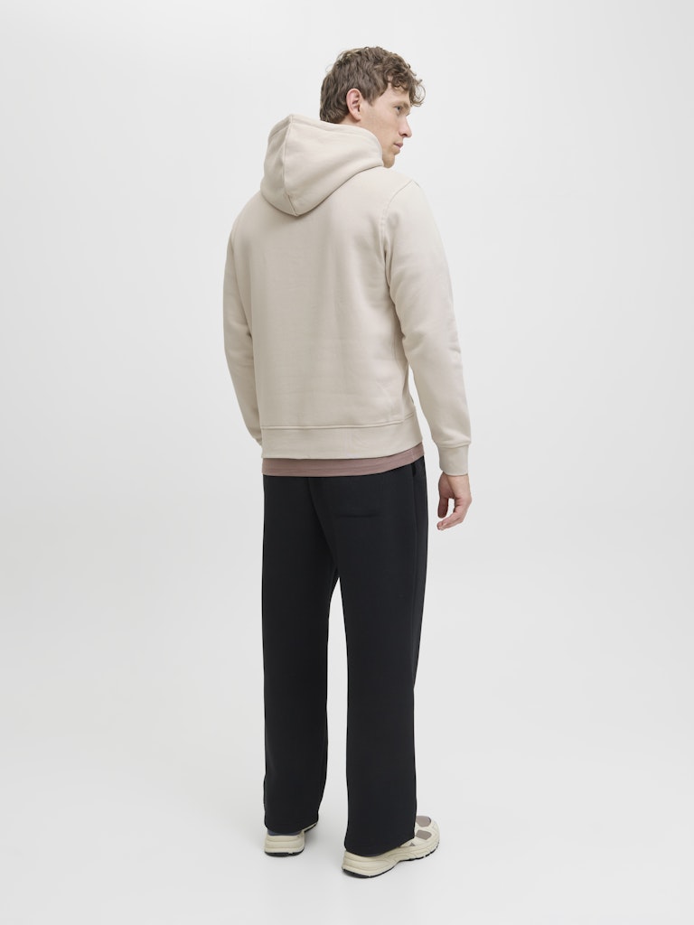 JACK & JONES Soho Sweat Hood-Moonbeam Moonbeam detail view