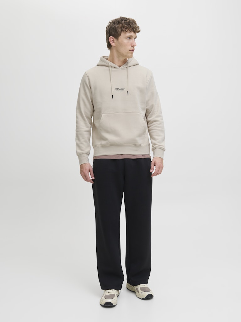 JACK & JONES Soho Sweat Hood-Moonbeam Moonbeam model front view