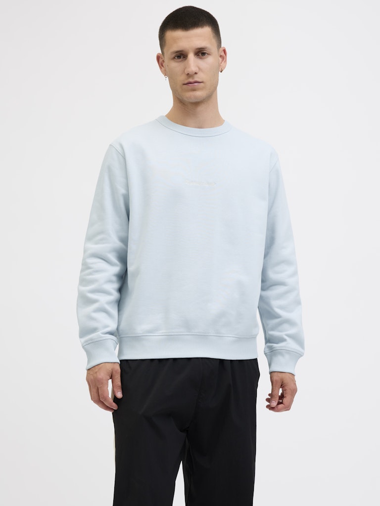 Men's Norrebro Emb Sweat Crew-Skyway-Model Front View