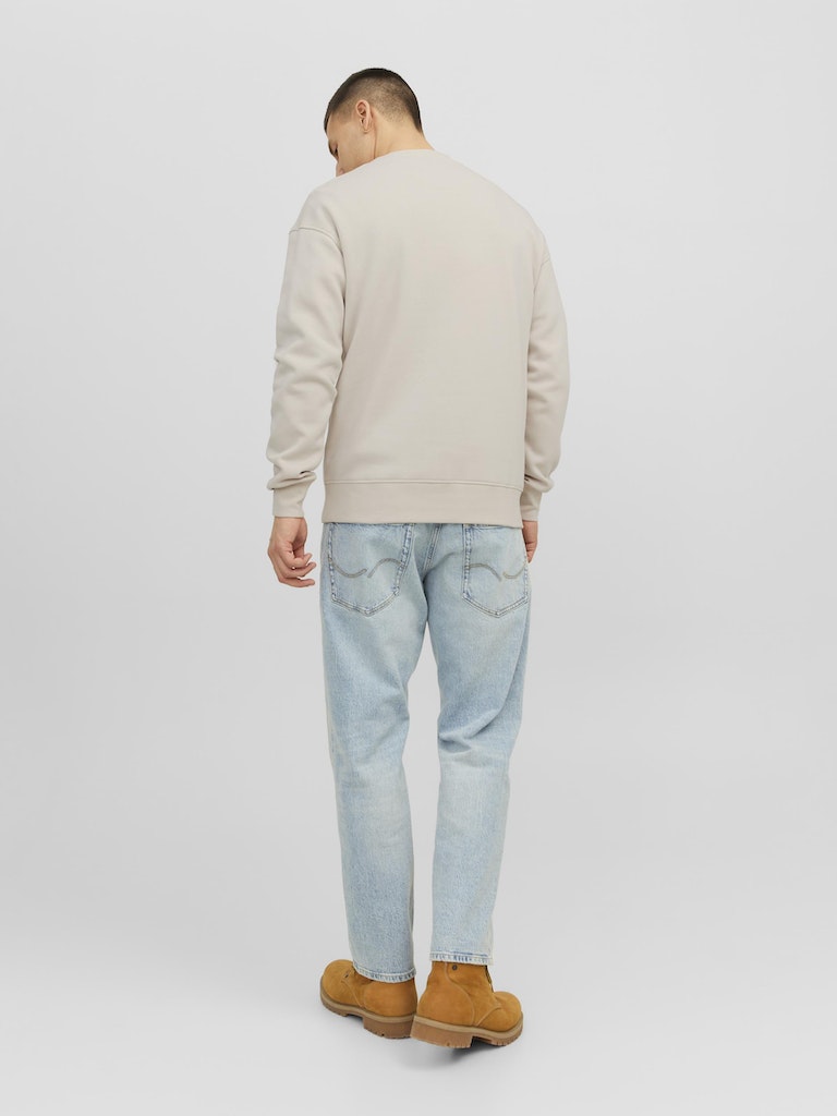 Men's Vesterbro Sweat Crew Neck-Moonbeam-Model Back View