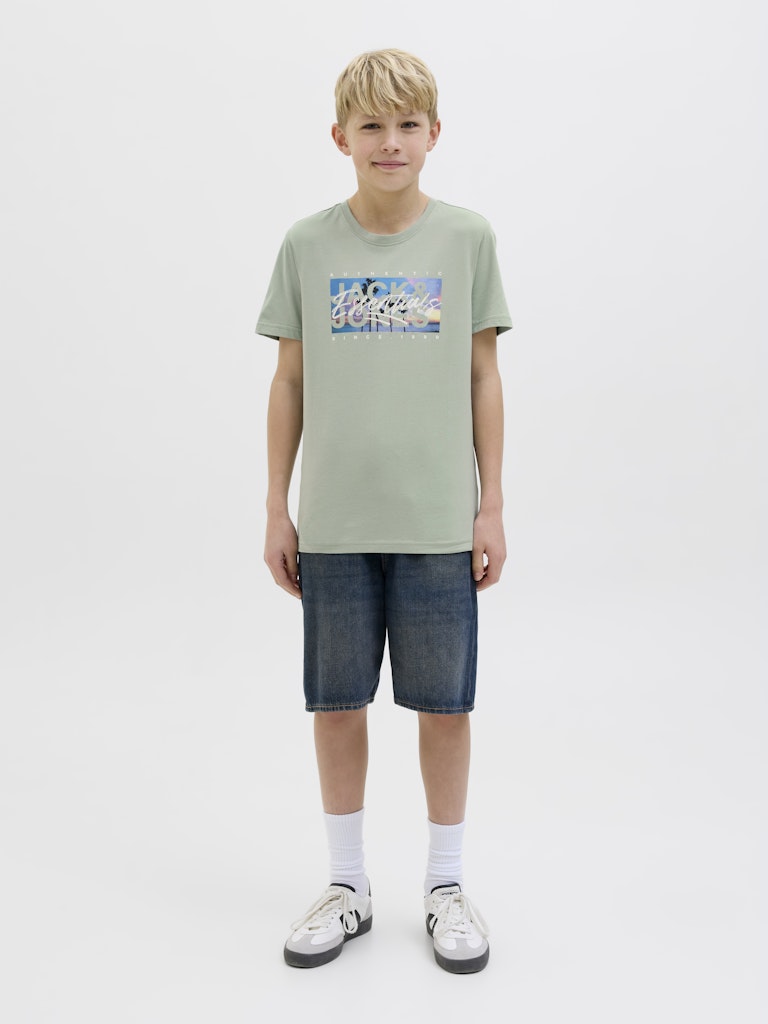 Jack Jones Youths Colton Photoprint Junior Tee Short Sleeve Crew Neck-Iceberg Green Iceberg Green model front view