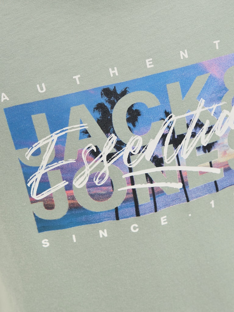 Jack Jones Youths Colton Photoprint Junior Tee Short Sleeve Crew Neck-Iceberg Green Iceberg Green detail view