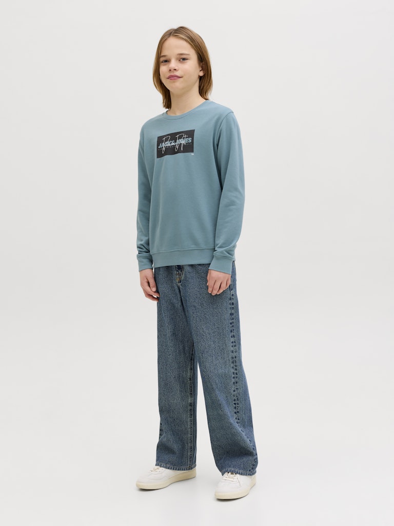 Jack Jones Youths Cole Print Sweatshirt Junior-Mineral Blue Mineral Blue detail view
