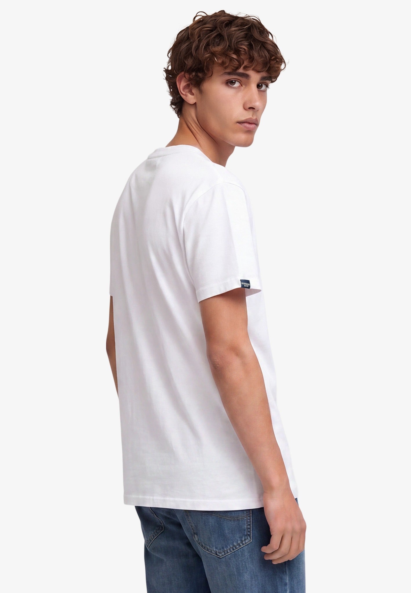 Superdry Essential Sdco Logo Embroidered Tee in Optic/Cold Grey back model view