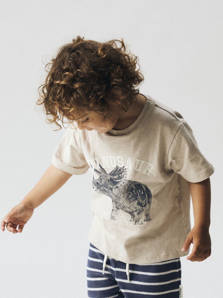 NAME IT Feath Kid Boy T-Shirt Vintage Indigo detail view