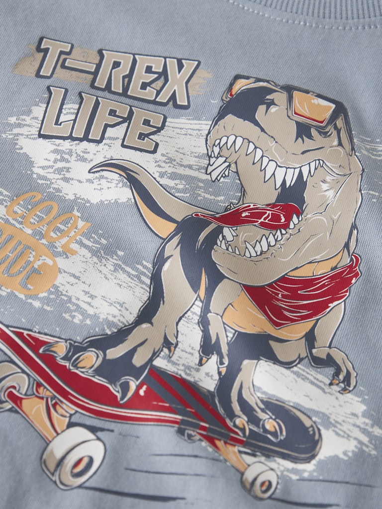 NAME IT Vanyo Short Sleeve T-Shirt Blue Fog Dino Skate alternate view