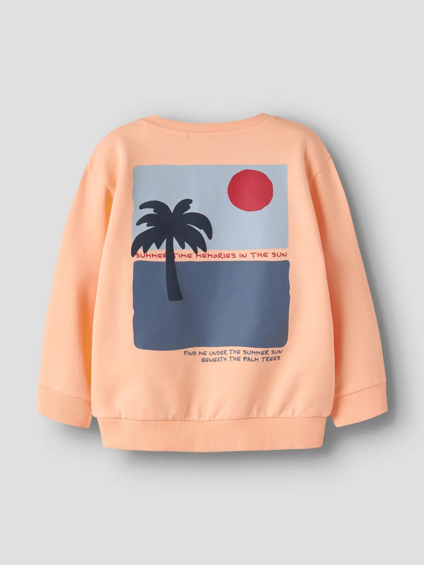 NAME IT Jale Sweatshirt Peach Fuzz detail view