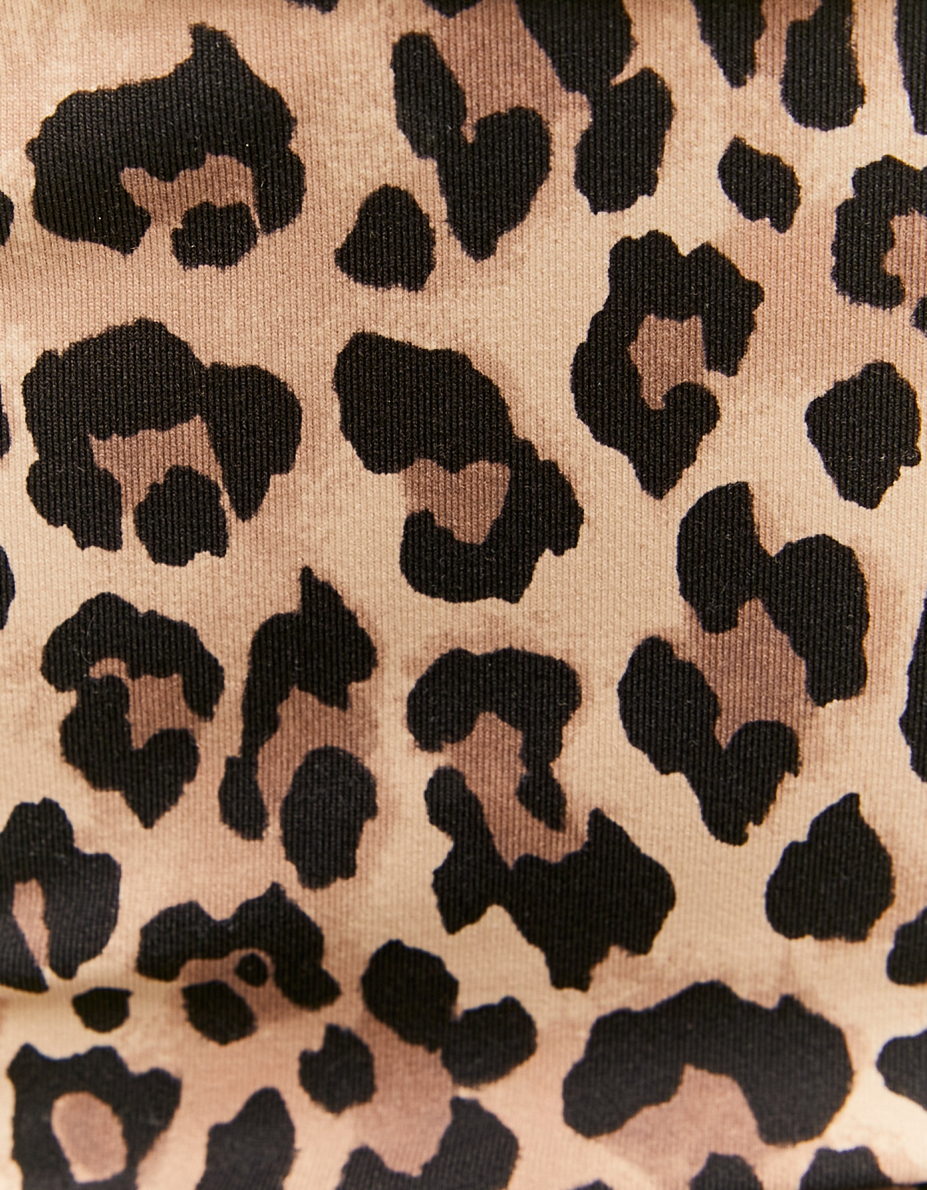Tally Weijl Leopard Print Off Shoulder Bodysuit multi side view
