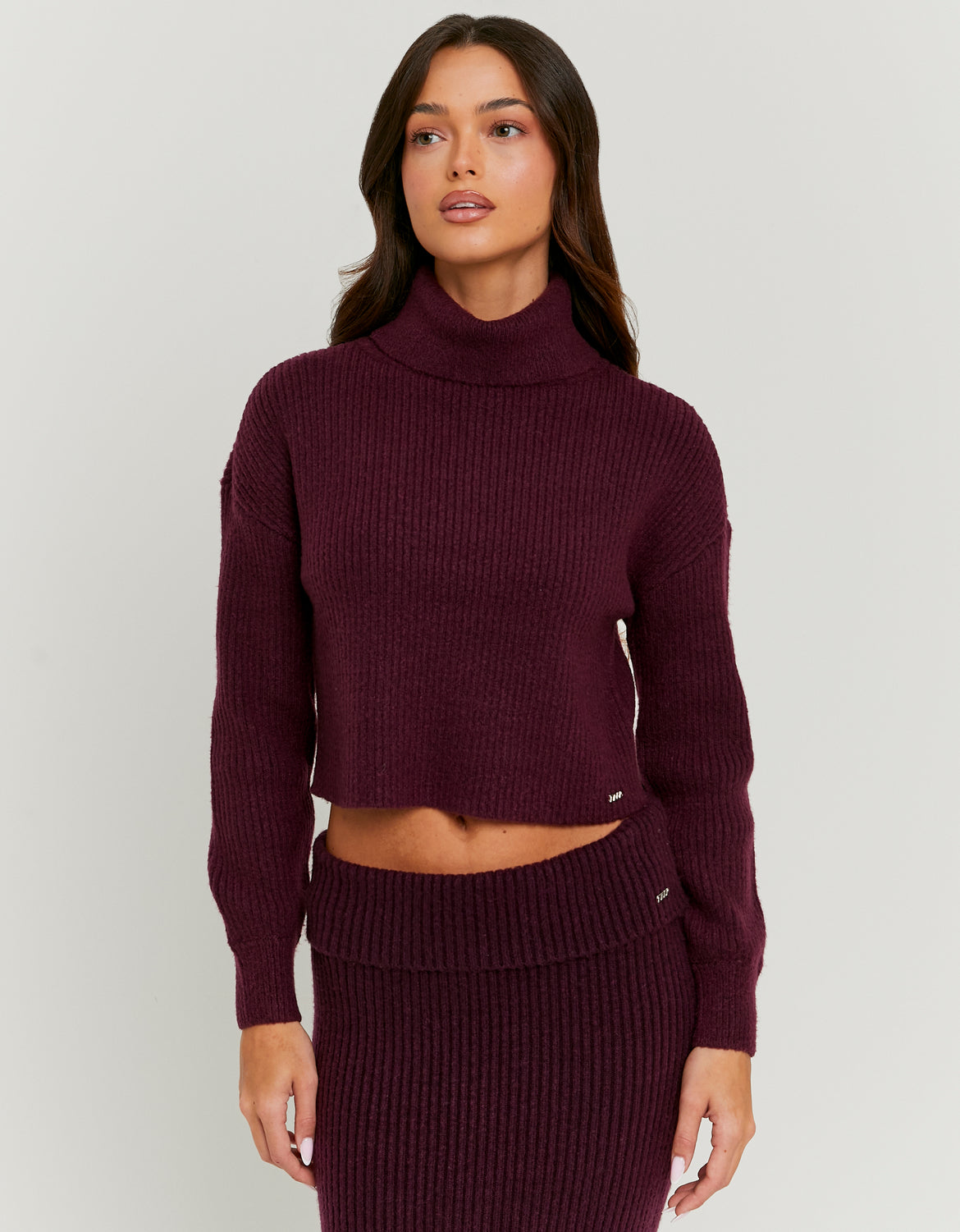 Tally Weijl Burgundy Turtle Neck Knit Jumper Burgundy front view