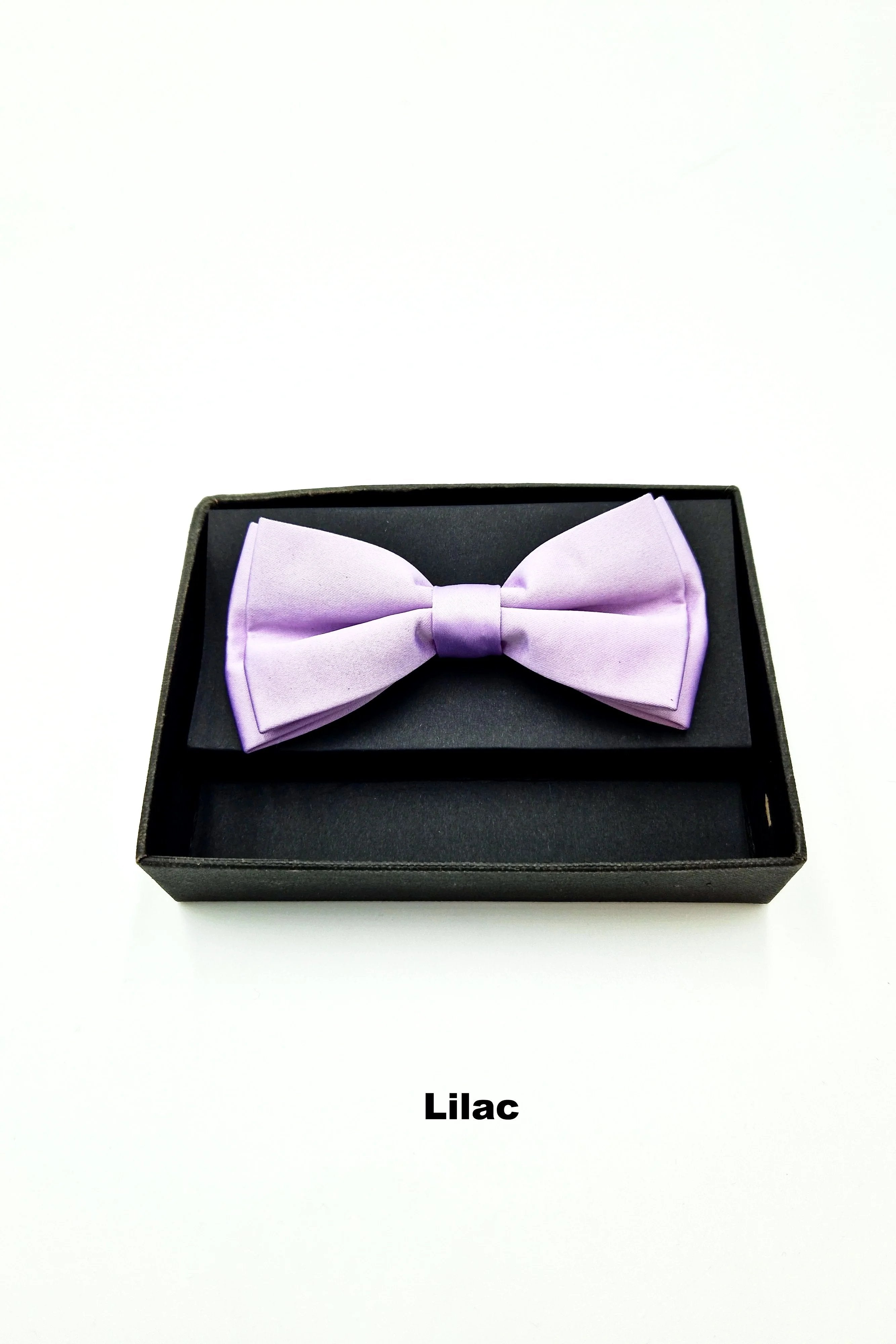 TORINO Mens Pre Tied Bow Lilac model front view