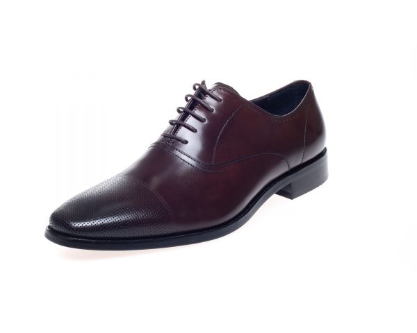 Bay Brown Capped Oxfords - Spirit Clothing