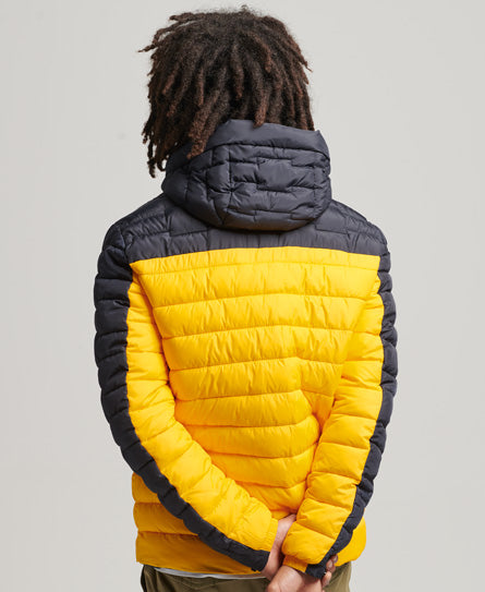 SUPERDRY Expedition Radar Quilted Mix Volt Fuji Jacket Volt back view