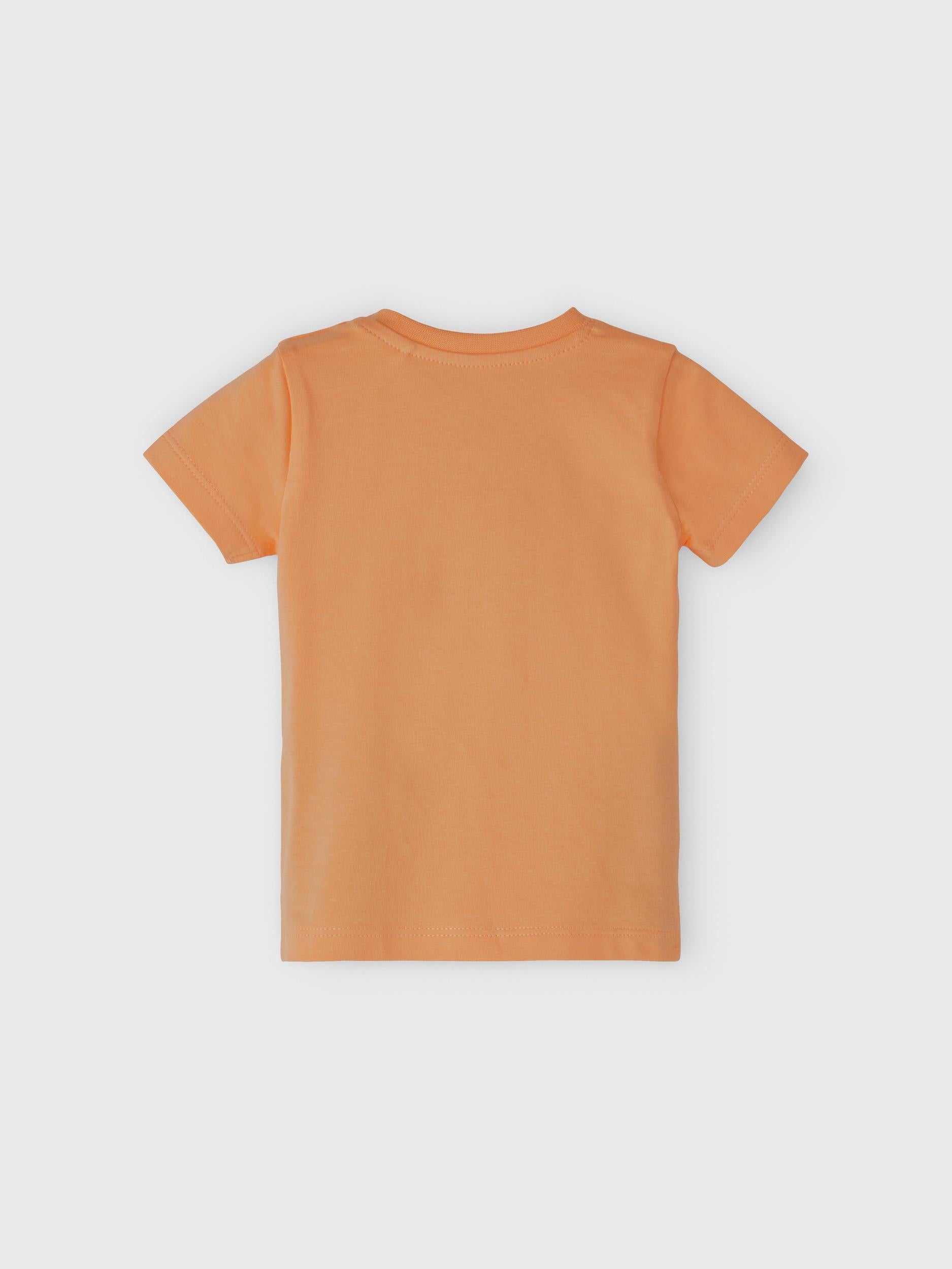 Jalte Short Sleeve Top - Salmon Buff Rear View