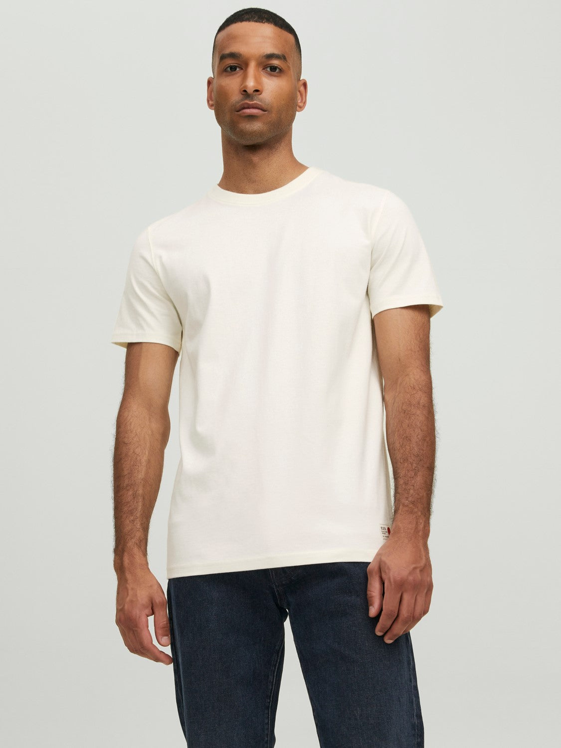 Dan Short Sleeve Crew Neck Egret Tee