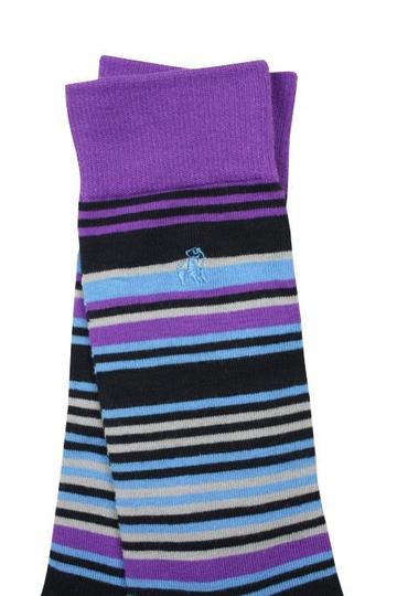 Swole Panda Purple/Blue Narrow Stripe Socks Purple/blue model front view