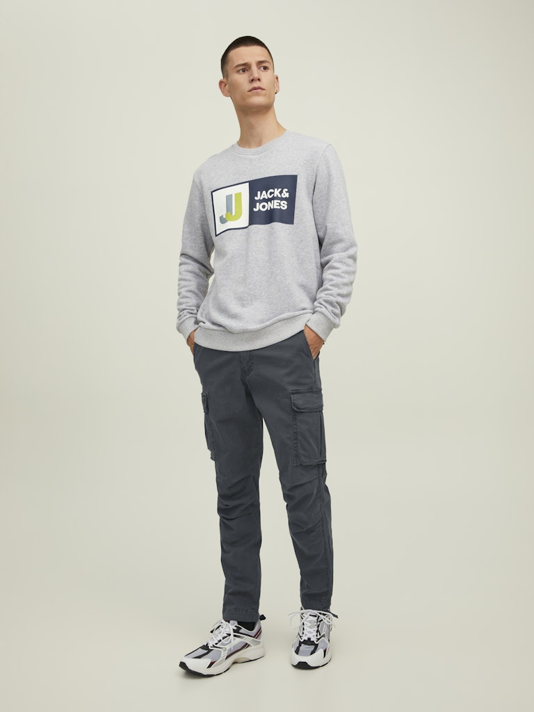 JACK & JONES JPSTACE Tucker Cargo Trousers in Asphalt front full-length model view