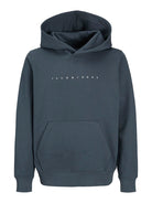 Jack Jones Youths Jjestar Jj Sweatshirt Hood Jnr - Terbulence in Turbulence front view