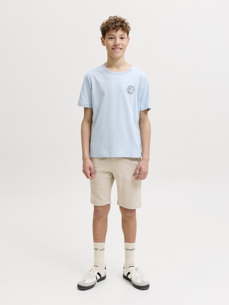 Jack Jones Youths Jjalliance Tee Ss Crew Neck Jnr celestial blue t-shirt front view