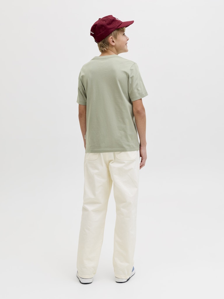 Jack Jones Youths Montauk Type Front Tee Cn Jnr seagrass t-shirt back view