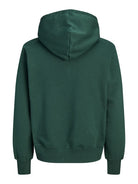 JACK & JONES Frederiksberg Monogram Sweat Hoodie in Pine Grove back view