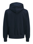 JACK & JONES Frederiksberg Monogram Sweat Hoodie in Sky Captain back view