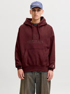 JACK & JONES Frederiksberg Monogram Sweat Hoodie in Chocolate truffle front model view