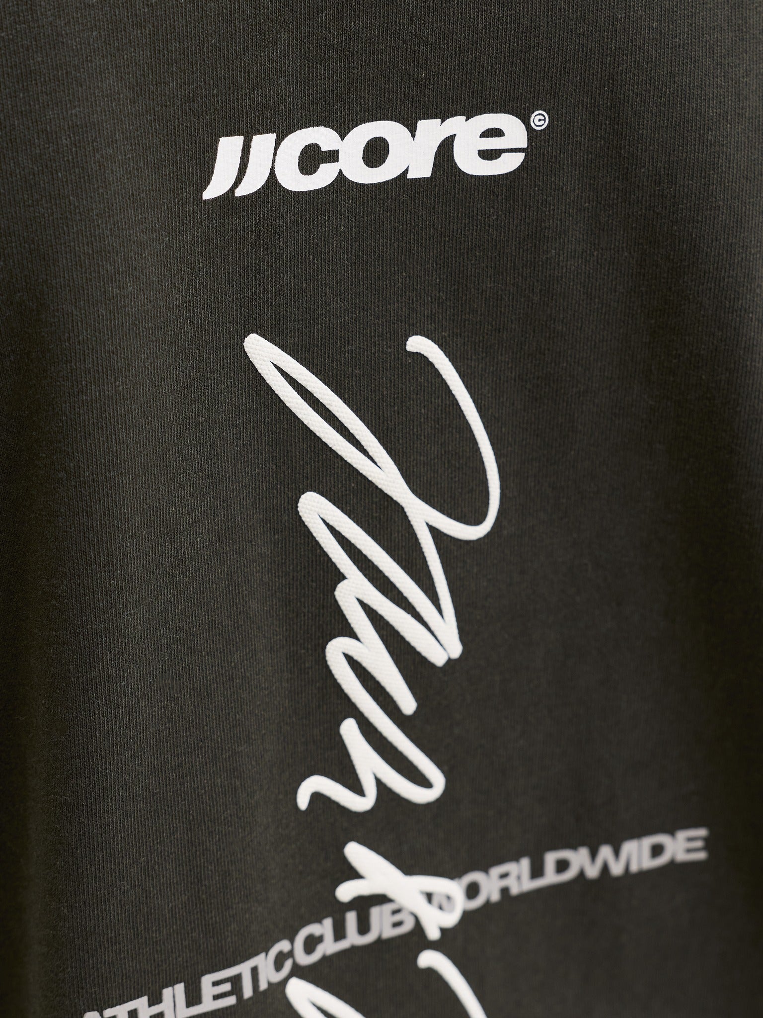 Jack Jones Youths Club Back Script Crew Neck Tee Junior in Peat logo print detail