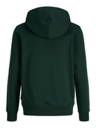 Jack Jones Youths Frederiksberg Monogram Junior Sweat Hoodie in Pine Grove back view