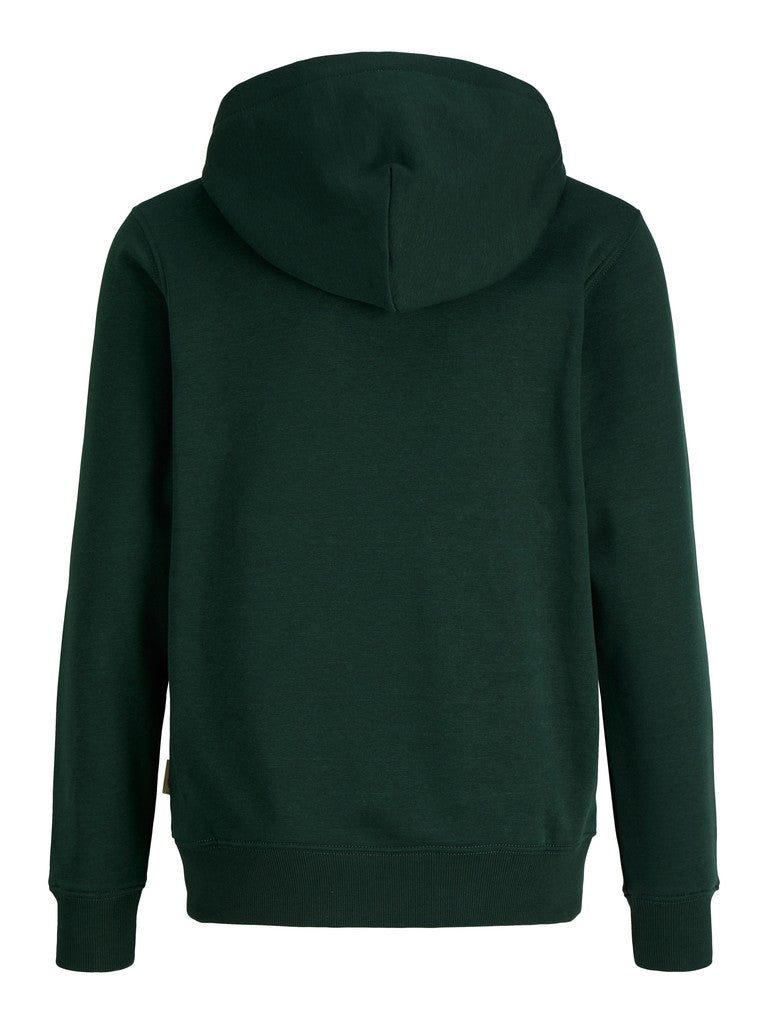 Jack Jones Youths Frederiksberg Monogram Junior Sweat Hoodie in Pine Grove back view