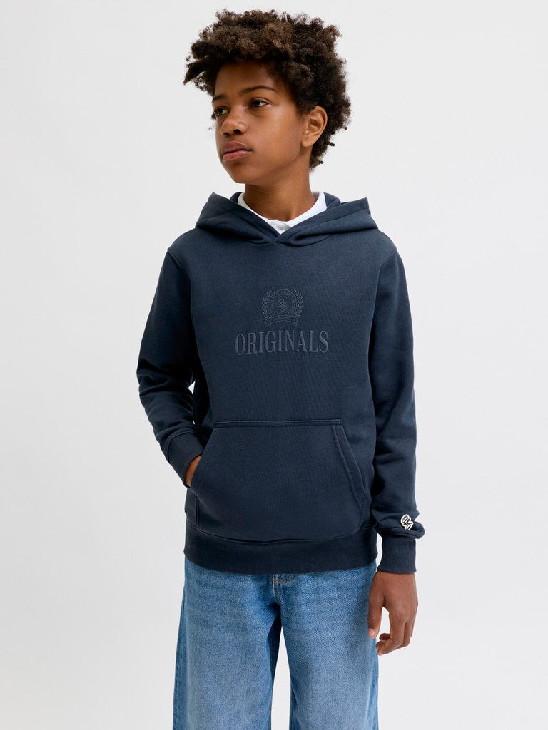 Jack Jones Youths Frederiksberg Monogram Junior Sweat Hoodie in Sky Captain angled model view