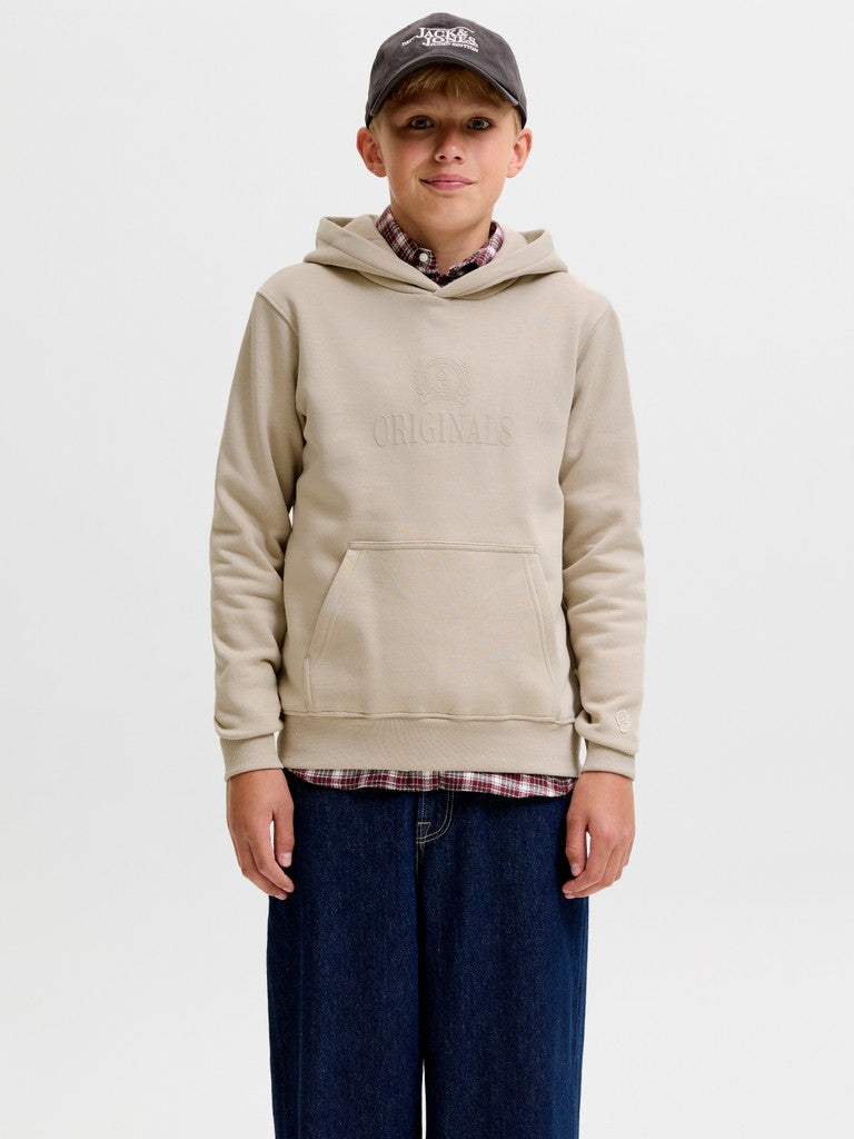 Jack Jones Youths Frederiksberg Monogram Junior Sweat Hoodie in Feather Gray full length model view