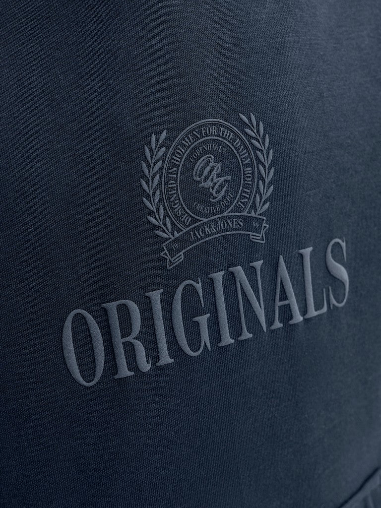 Jack Jones Youths Frederiksberg Monogram Junior Sweat Hoodie in Sky Captain logo print detail