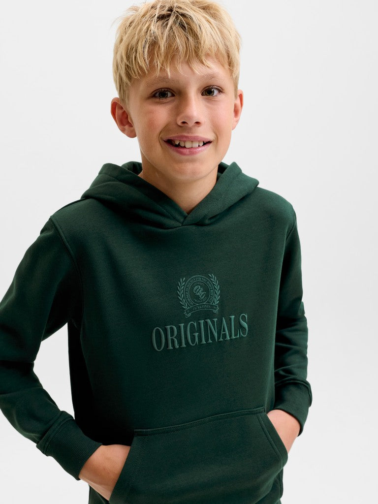 Jack Jones Youths Frederiksberg Monogram Junior Sweat Hoodie in Pine Grove front model view
