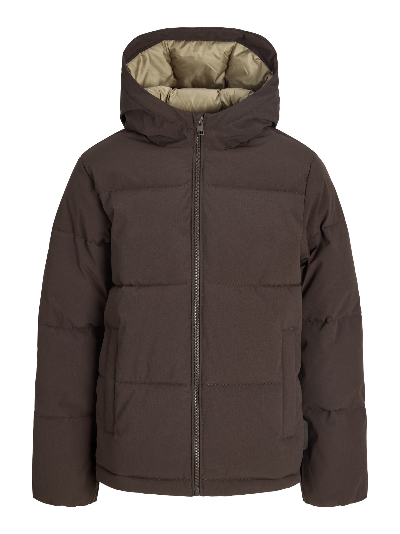 Front product view of the Jack Jones Junior Galaxy Boys Puffer Jacket in Java
