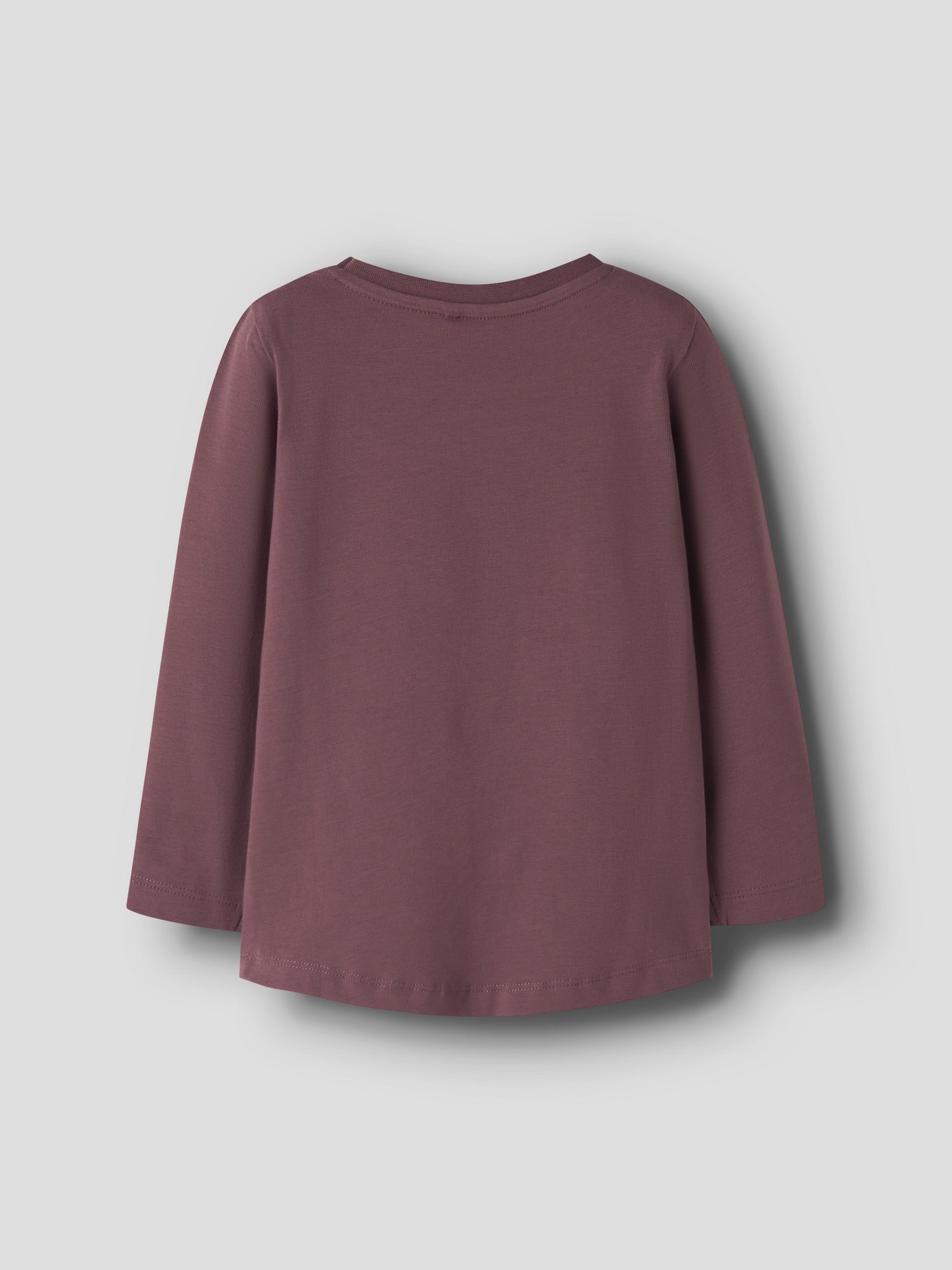NAME IT Vix Long Sleeve Top in Wild Ginger Fruits back view