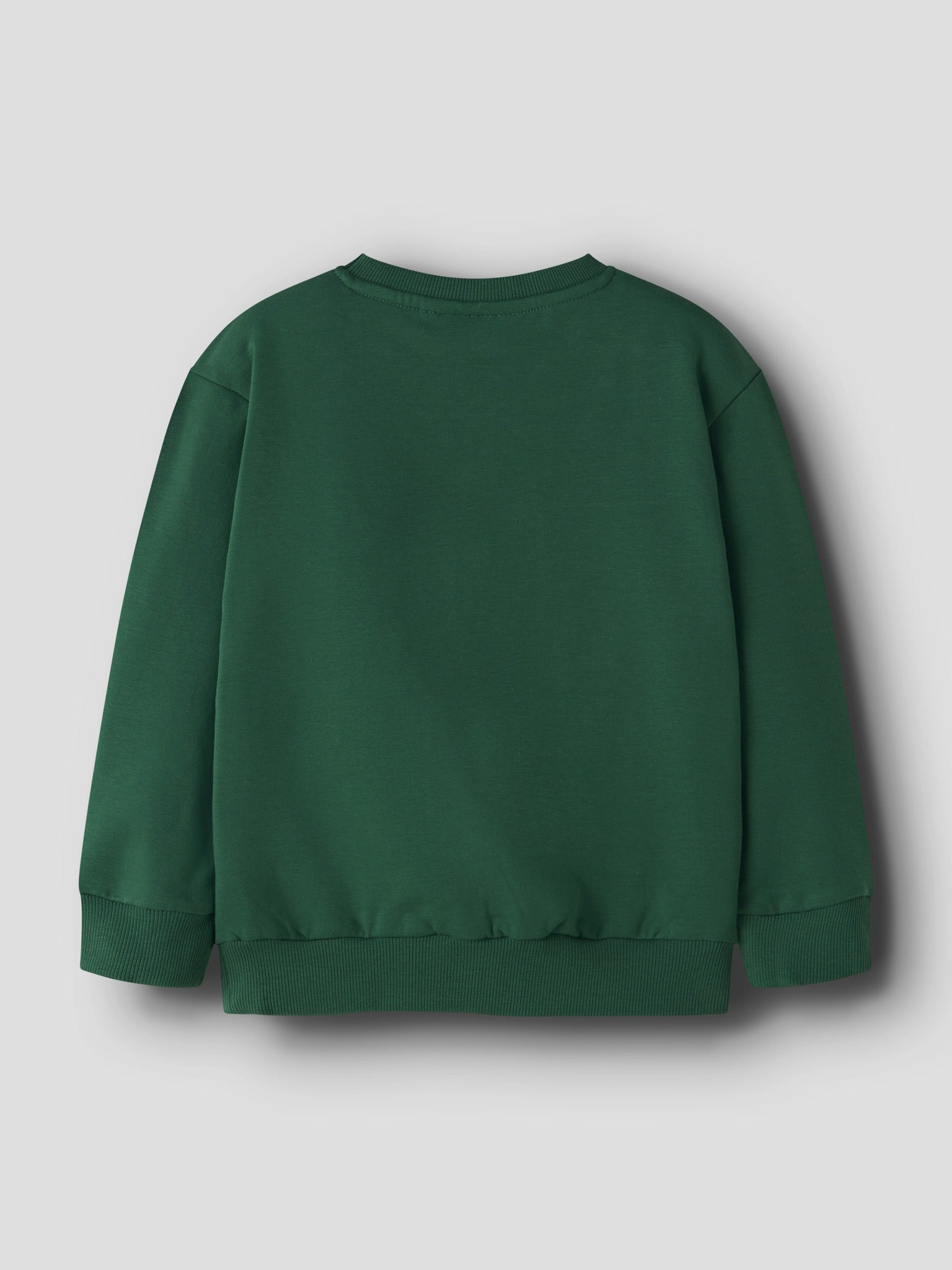NAME IT Leon Long Sleeve Sweatshirt in Evergreen back view