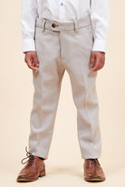 Marc Darcy Boyswear HM5 Boys Stone 3 Piece Suit Stone back view