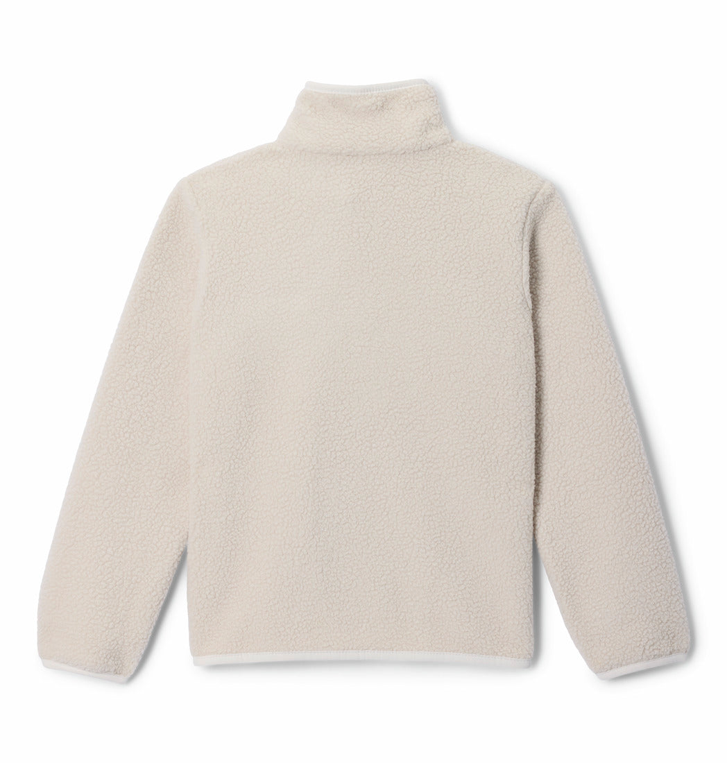 Columbia Boys Helvetia II Half Snap Fleece in Dark Stone, back view