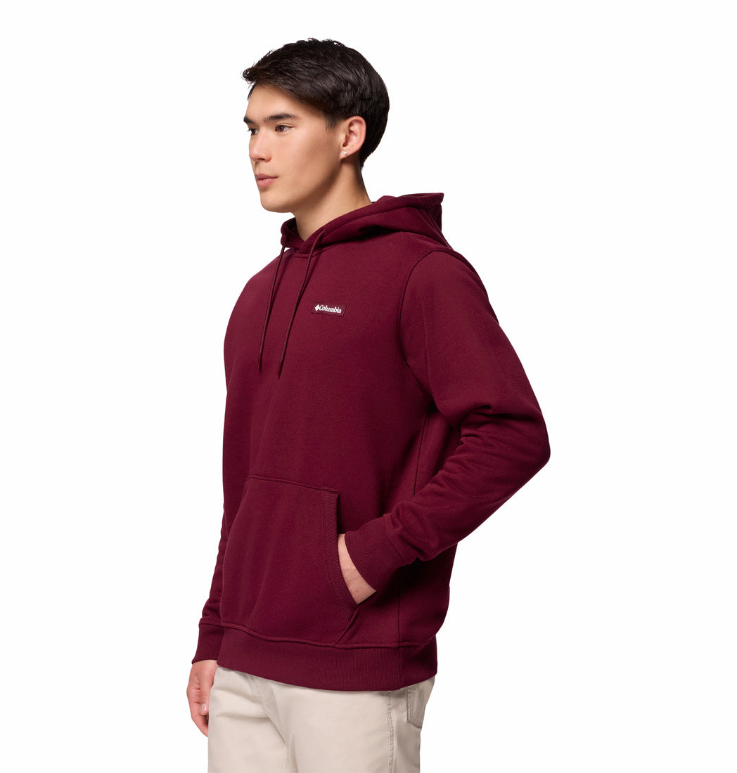 Man wearing a maroon hoodie with a brand logo on a white background